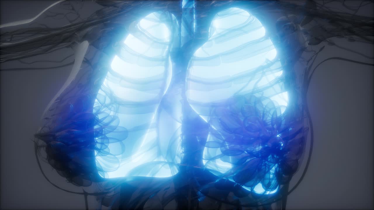 examen radiológico de los pulmones humanos