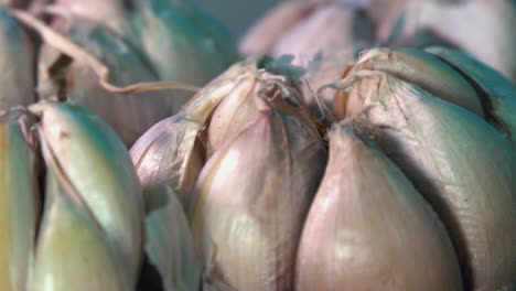 Slow-Motion-Close-Shot-of-Head-of-Garlic-Rotating