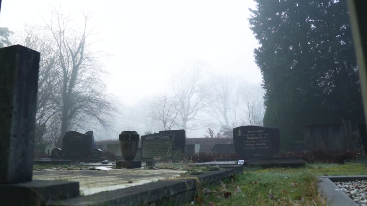 안개가 가득한 묘지 장면