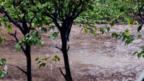 heavy rain splashes with a crash, dancing droplets, thunderous splash