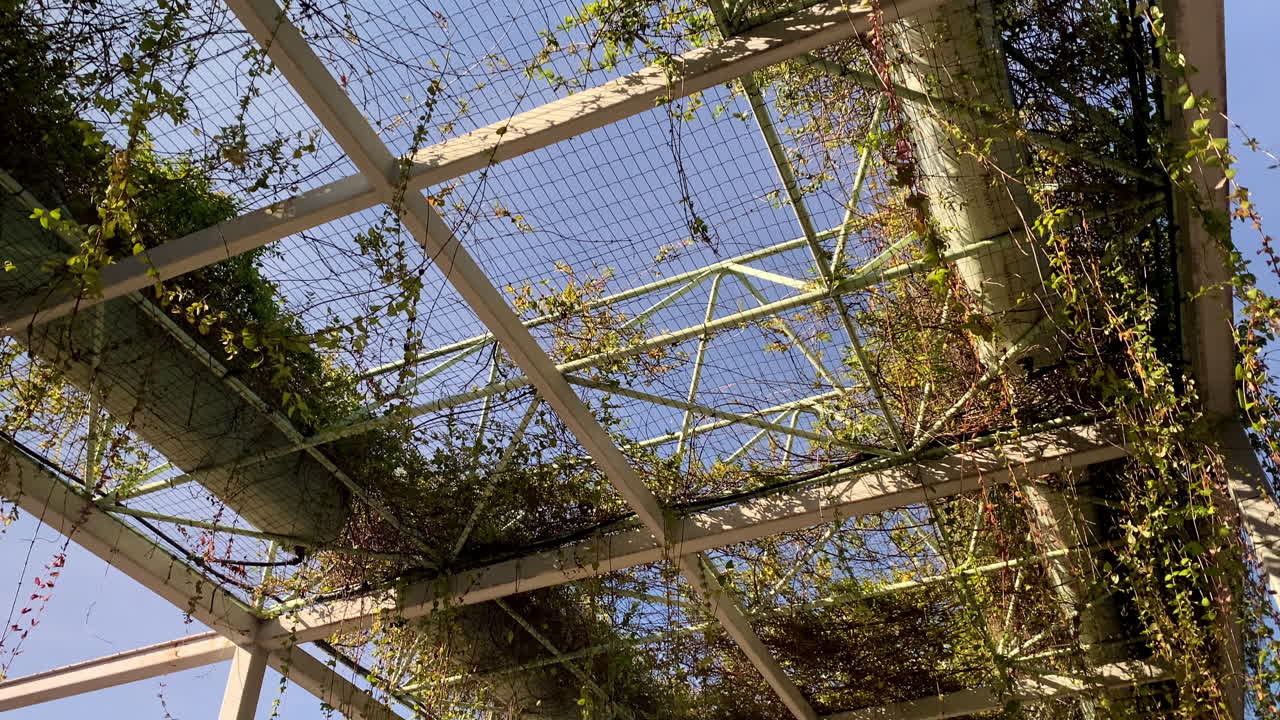 Den moderne pergola dækket af hængende planter, der kaster bløde skygger over en café-gang med glasvægge, mens en kvinde krydser den solbeskinnede plads