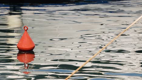 red buoy floating on calm water surface