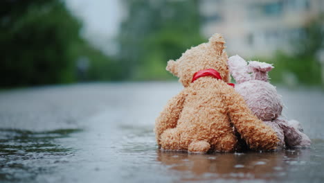 amigos fieles - un conejito y un cachorro de oso se sientan uno al lado del otro en la carretera mojada bajo la lluvia torrencial lo