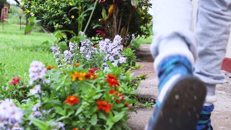 Niedrige-Weitwinkelaufnahme-Der-Naturaufnahmen-Von-Pflanzen-Und-Blumen-Im-Garten-Waren-Ein-Mann,-Der-Auf-Der-Gasse-Neben-Dem-Haus-Ging