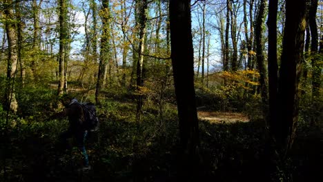 Walking-Forest-Man