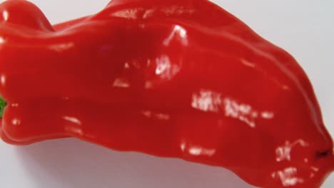 red chili pepper on white background 4k