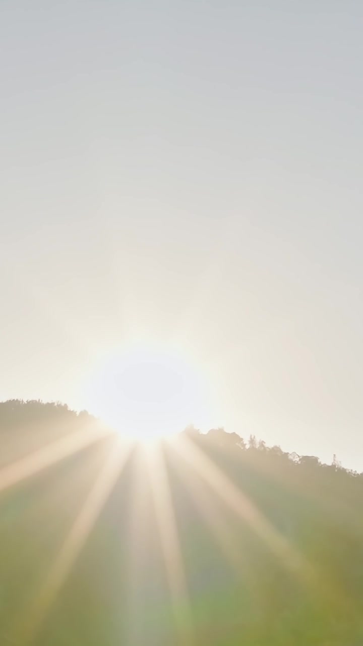Nascer do sol sobre os vinhedos do Vale do Napa na Califórnia, EUA