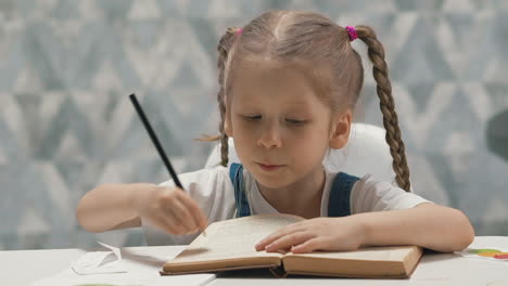 portrait of little girl with perky pigtails