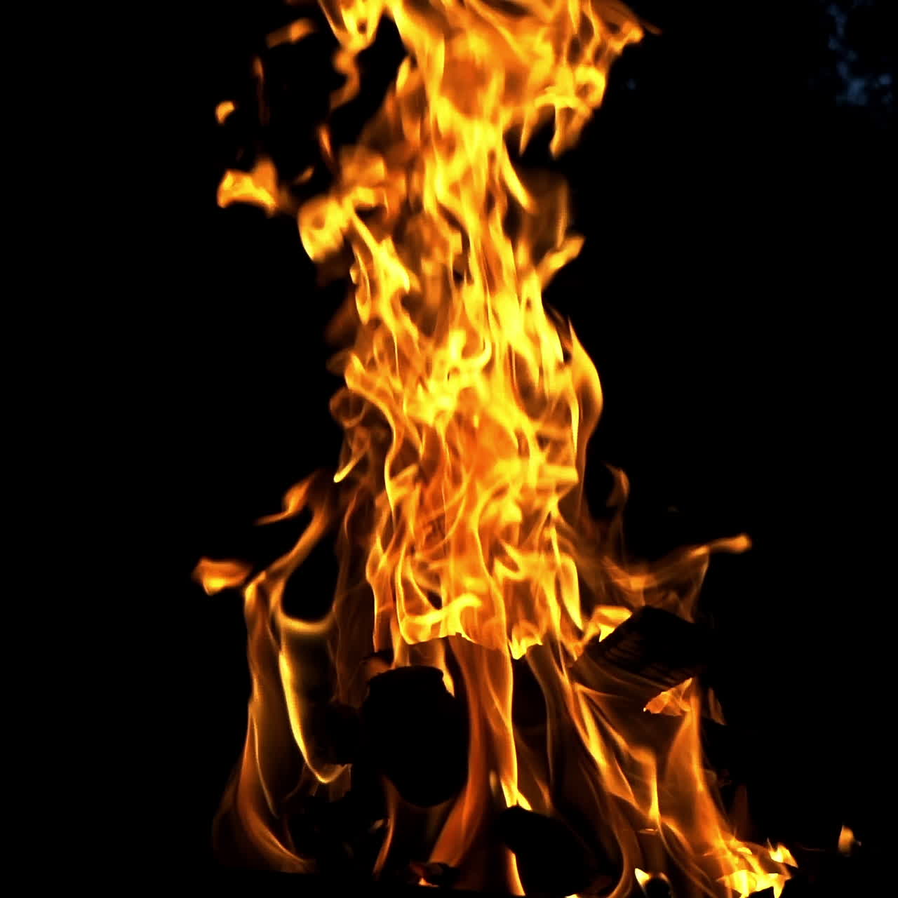 Bright camping fire burning on dark background at night. Big orange flame moving on black. Slow motion