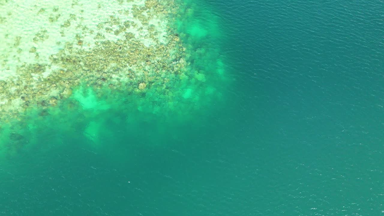 Scatto aereo dall'alto di acqua limpida turchese e barriera corallina nel Pacifico meridionale.