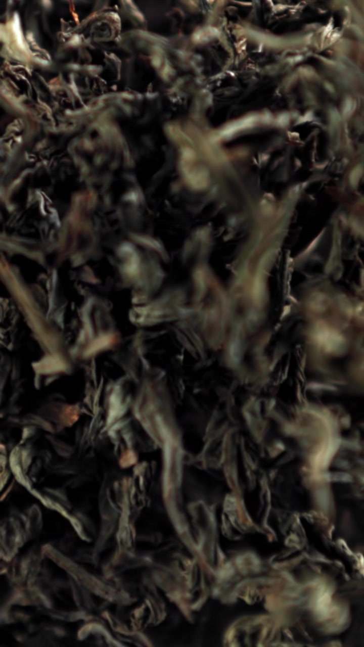 Close-up of Dried Tea Leaves Coming into Focus