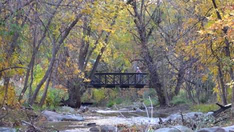 people biking in nature trail in slow motion