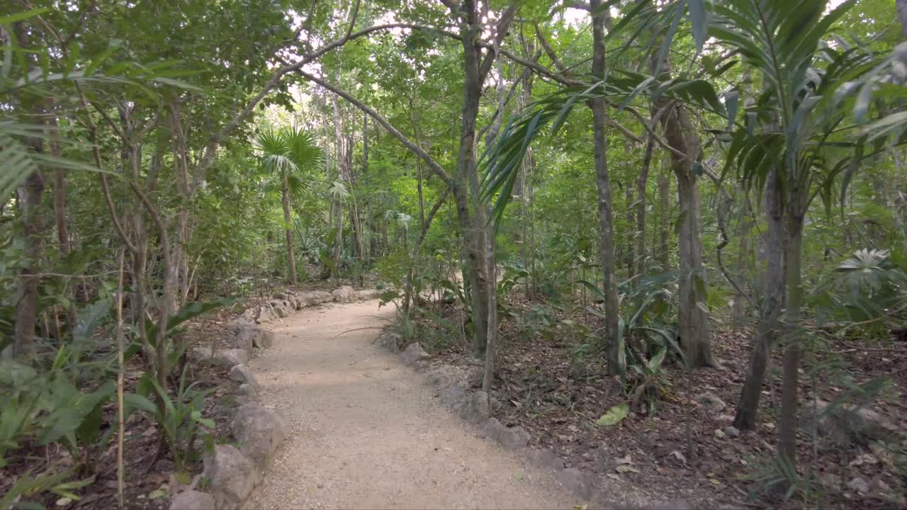 Walking on a track path through the jungle at a cenote in Tulum Mexico