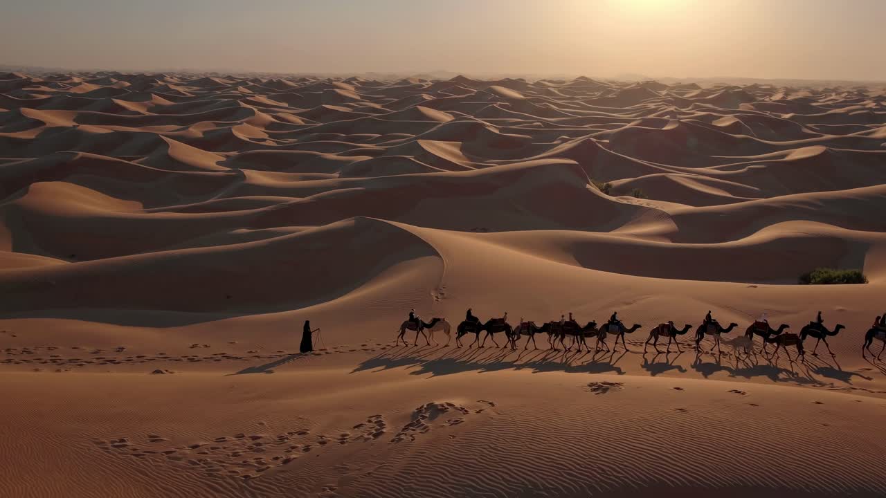 Luftfoto af en kamelkaravane, der krydser store ørkenklitter ved solnedgang og indfanger en filmisk video