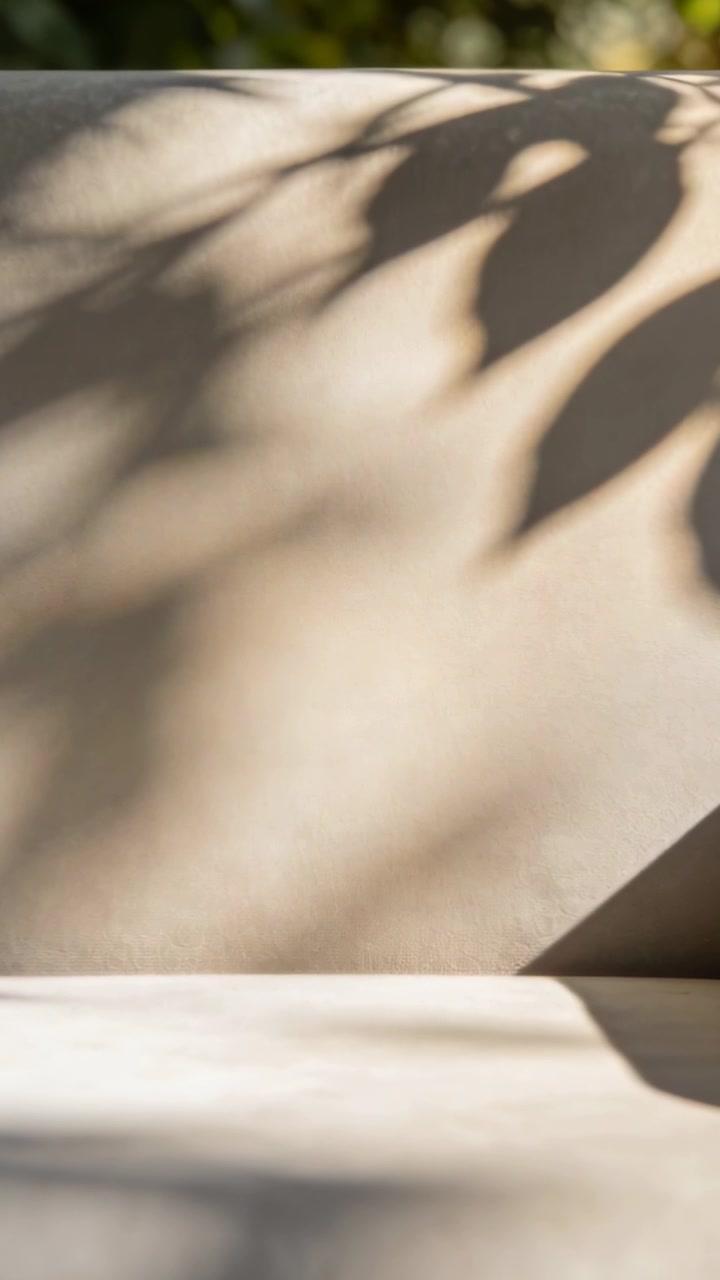 Vertical video: Breeze moving leaves, sunlit patch casting leaf shadows across beige seat on patio