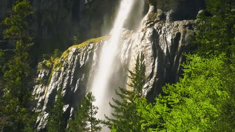 high waterfall on mountain rock face above pine trees, tilt