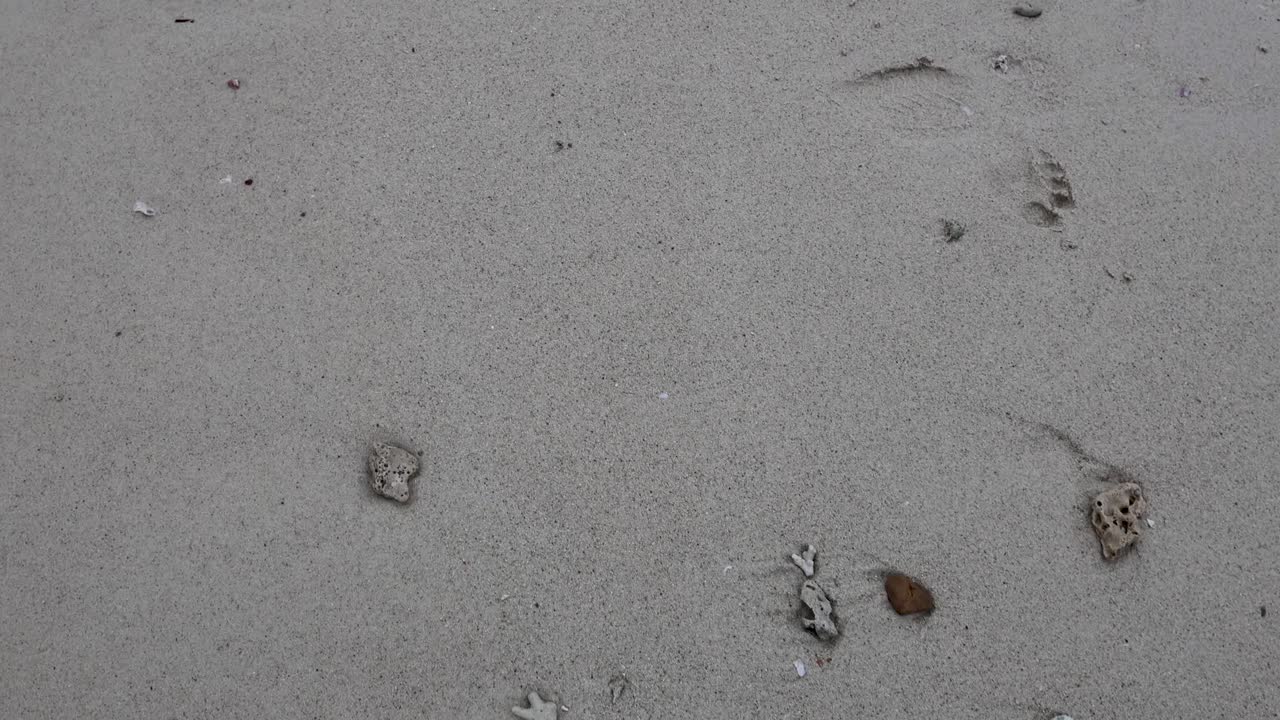 은 지역과 함께 해변 모래 질감