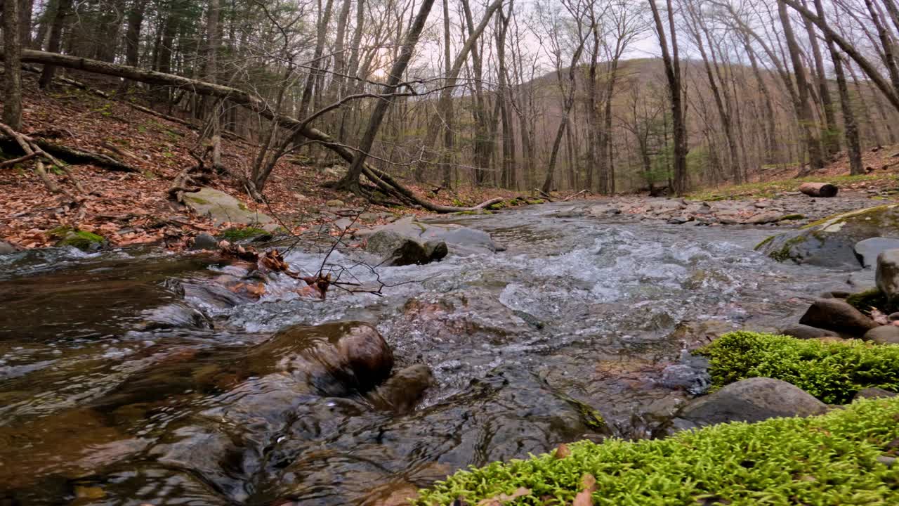 Pemandangan Sudut Lebar Sungai Musim Gugur yang Tenang dan Indah di Hutan yang Memukau.