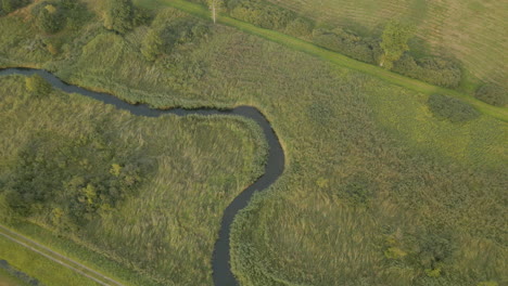 Wasserstrom-Durch-Die-Laubwaldlandschaft-Im-Dorf-In-Der-Nähe-Von-Debki,-Polen-Im-Frühling