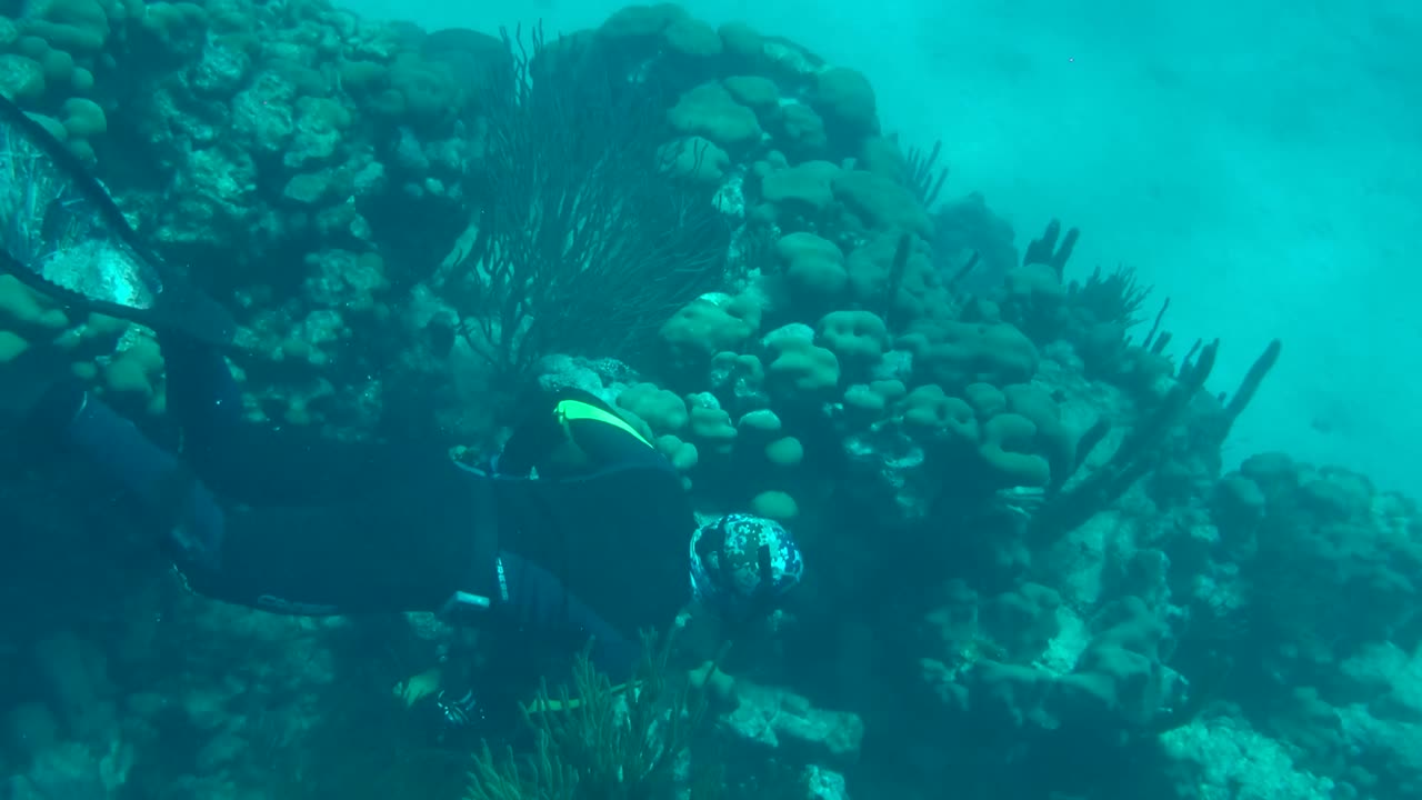 Man going down underwater swim with apnea fins while equalizing ears and SPEARFISHING, CORAL REEF caribbean sea