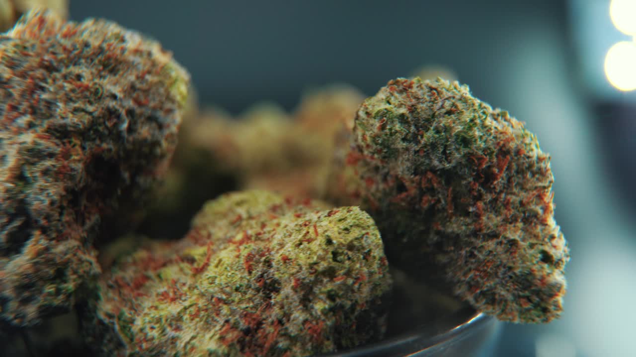 대마초 식물, 하이브리드 품종, 인디카와 사티바, 대마초 꽃, 회전하는 스탠드, 검은 반 ⁇ 이는 울음소리, 슬로우 모션, 4k 비디오, 스튜디오 전문 조명