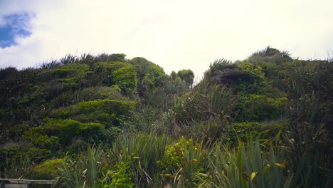 Strandpromenade-An-Der-Küste-In-Neuseeland