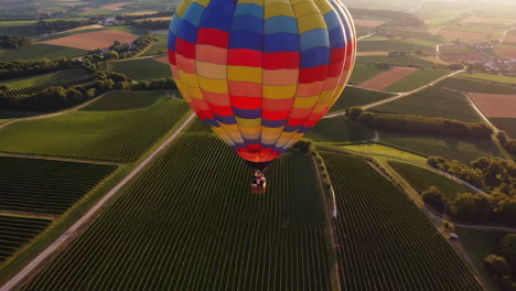 hot air balloon ride over vineyards