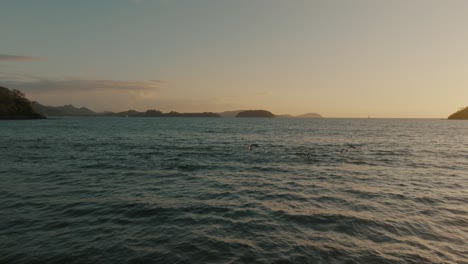 Birds-Flying-Over-Ocean-Waves-In-Guanacaste,-Costa-Rica---aerial-drone-shot