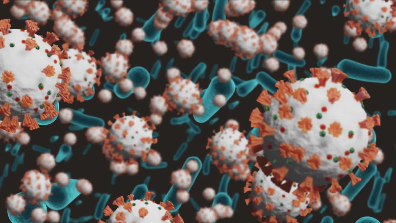 animación de virus macro covid 19 en movimiento y células sanguíneas en fondo negro
