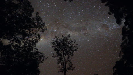australia hermosa impresionante vía láctea cruz del sur noche estrella senderos 7 timelapse por taylor brant película