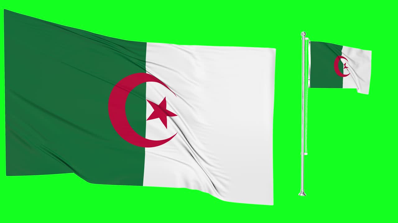 알제리  ⁇ 발 또는  ⁇ 발 기둥을 흔드는 초록색 화면