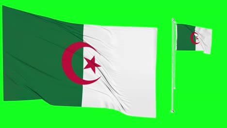 green screen waving algeria flag or flagpole