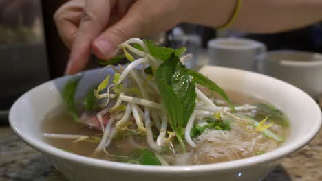 alguien que puso hojas en una sopa vietnamita