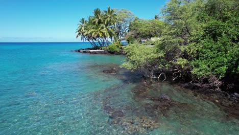 tropical scene from hawaii island