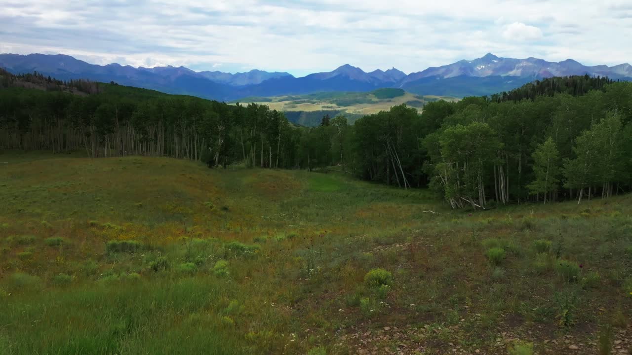 ridgway telluride aeropuerto colorado verano amarillo flores silvestres último dólar camino aéreo drone monte sneffels desierto árboles de abeto rancho san juan montañas rocosas bosque uncompahgre hacia adelante pan up