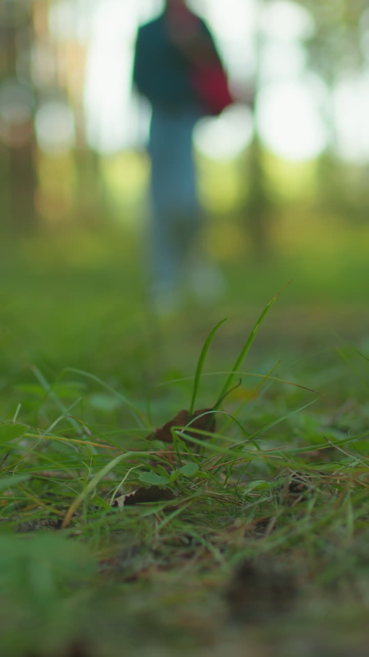 figura borrosa de una persona caminando a través de un bosque exuberante con enfoque en la vegetación de primer plano, el césped alto y los detalles del suelo del bosque, la luz solar cálida se filtra a través de los árboles