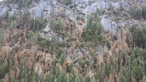 Drohnenaufnahmen-Aus-Der-Luft-Eines-Durch-Ein-Lauffeuer-Verbrannten-Berghangs-In-Der-Sierra-Nevada