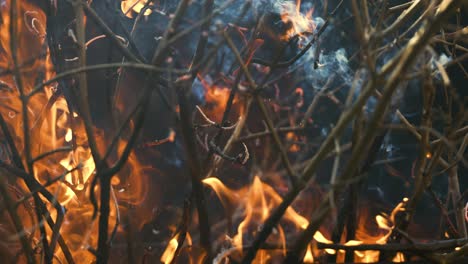 burning branches