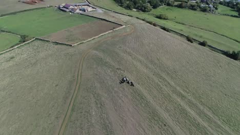 seguimiento aéreo hacia adelante sobre un rebaño de vacas en las laderas de la colina a la capilla de santa catalina