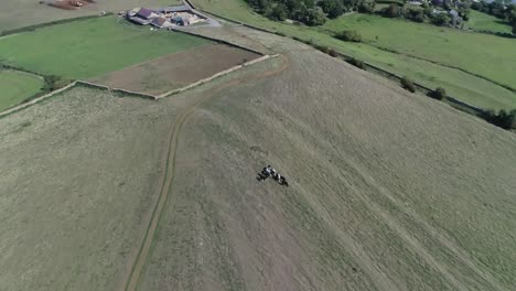 aerial tracking forward over a herd of cows on the slopes of the hill to st catherine's chapel