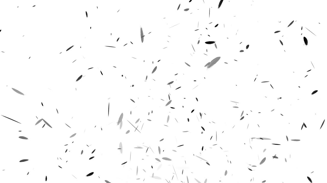 Black feather soaring particle motion graphics