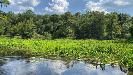 Genießen-Sie-An-Einem-Hellen-Sommertag-Eine-Bootsfahrt-Auf-Dem-Fluss-Im-Wakulla-Springs-State-Park-In-Tallahassee,-Florida