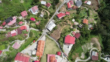 aerial view over colonia tovar, aragua, showing town structures and greenery