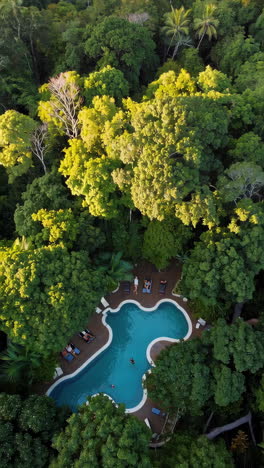 aerial view of tropical resort pool surrounded by lush jungle
