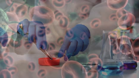 animation of coronavirus cells over science in laboratory