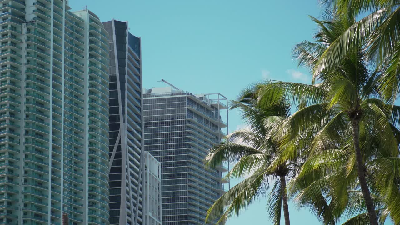 Vista del centro di Miami con palme, vacanza moderna