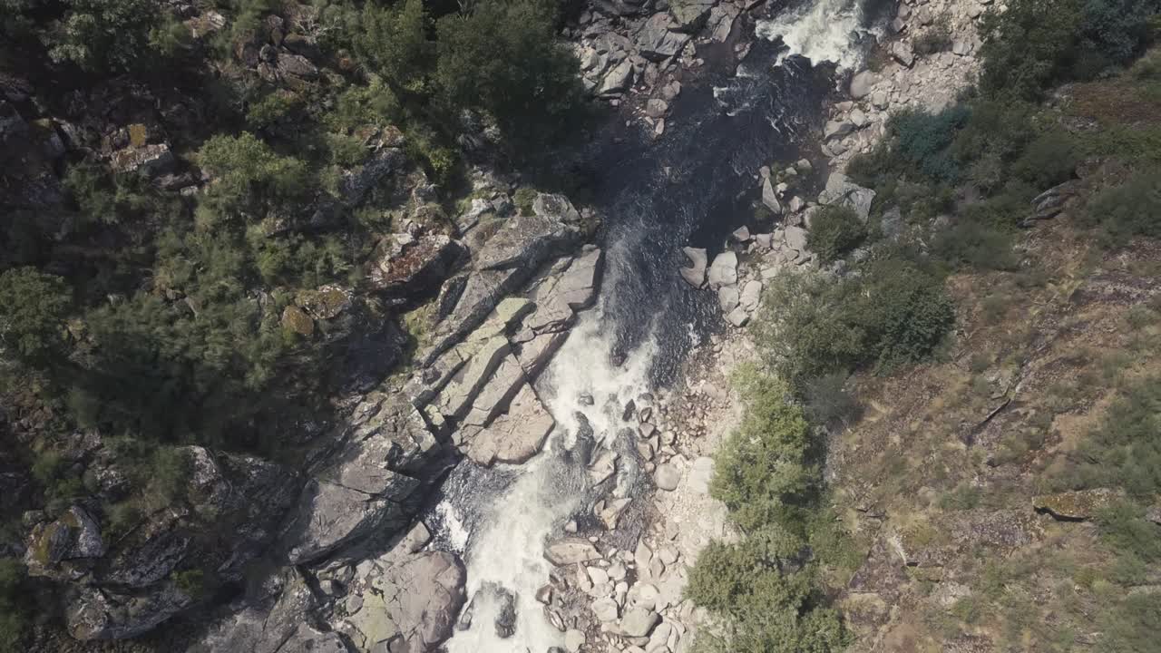 vuelo aéreo de arriba hacia abajo sobre el arroyo que fluye sobre los árboles del bosque en el desierto de portugal