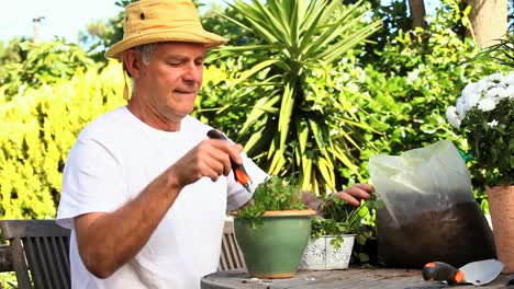 Mature-man-potting-a-plant