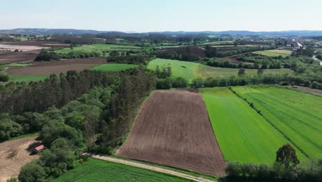 panoramic view of agricultural farmlands in countryside