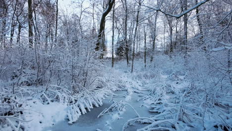 FPV-Drone-Flying-Over-White-Frozen-Lake-Surrounded-By-Winter-Snow-Trees-And-Branches